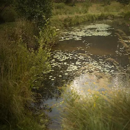 Сasa de vacaciones Dom Nad Stawem Domatowo