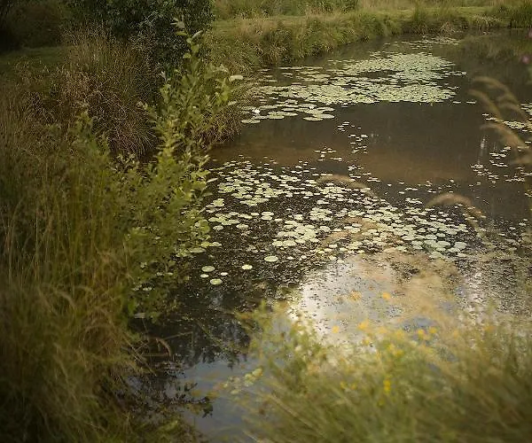 Dom wakacyjny Dom Nad Stawem Domatowo